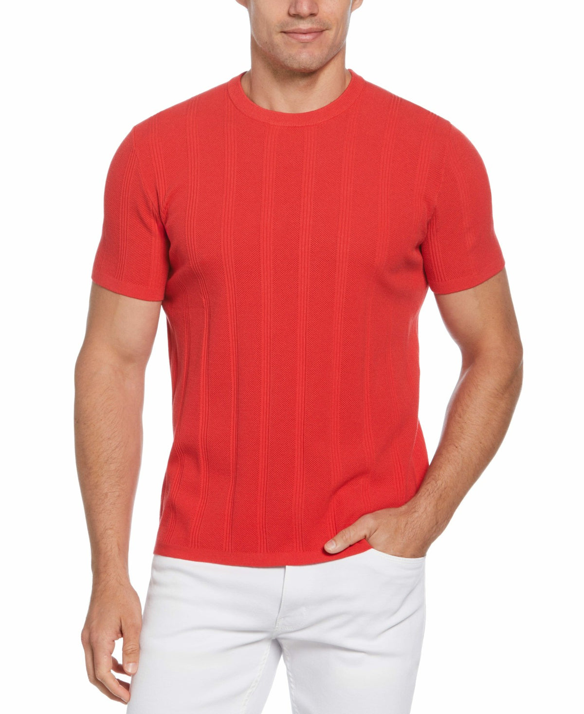 Tech Knit Striped Crew Neck Shirt | Perry Ellis