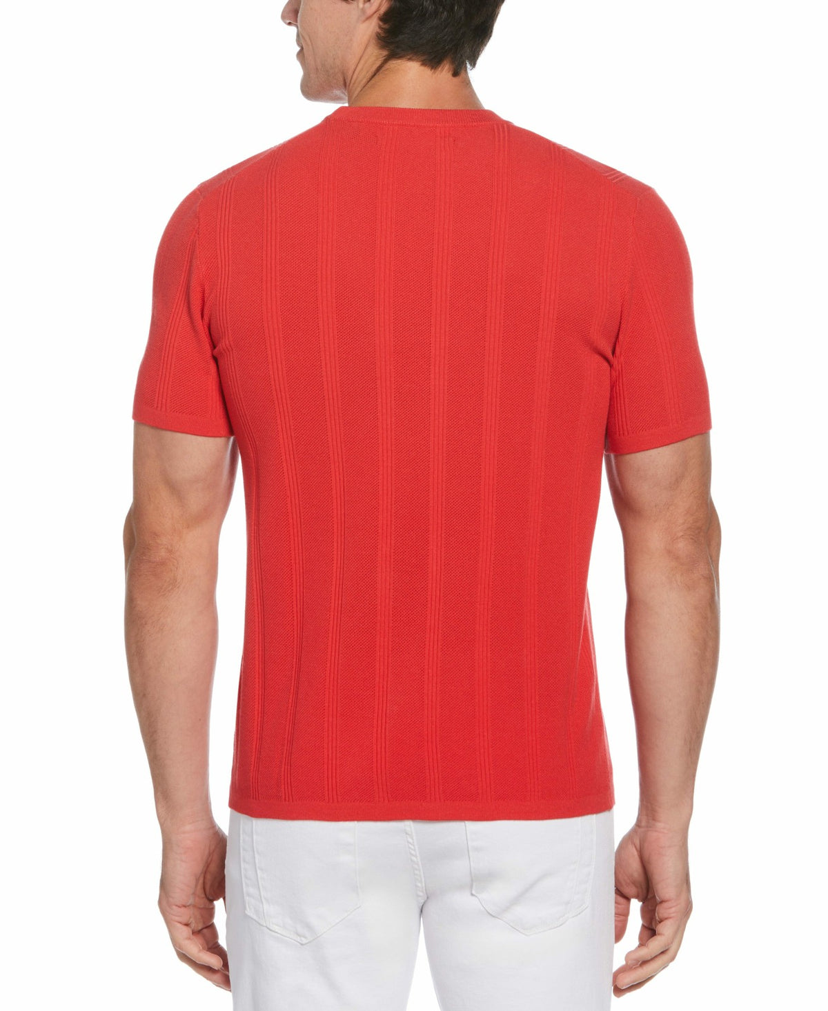 Tech Knit Striped Crew Neck Shirt | Perry Ellis